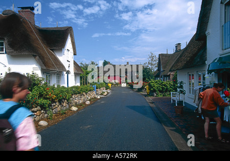 Reetdach-Haeuser Nebel Amrum Nordfriesische Inseln Deutschland Stockfoto