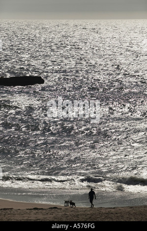 USA, Kalifornien, Person und zwei Hunde am Strand Stockfoto