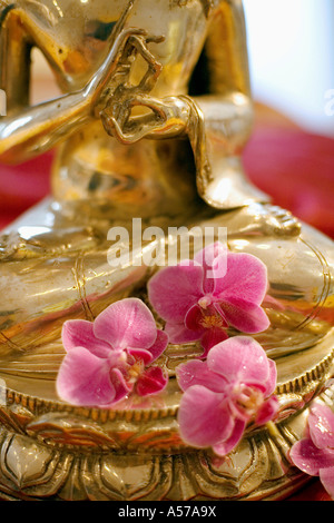 Messing Buddha, Nahaufnahme Stockfoto