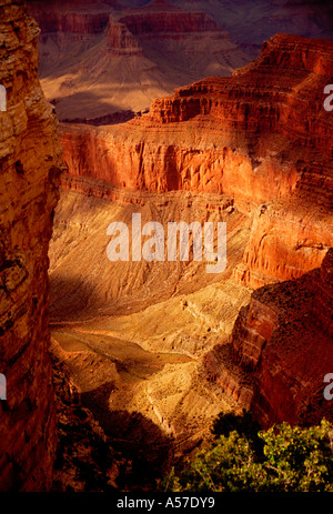 Blick vom Abgrund blicken auf den South Rim des Grand Canyon Grand Canyon National Park, Arizona USA Nordamerika Stockfoto