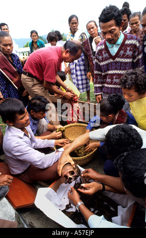 Wiederbestattung von Großmuttern in Samosir Toba Batak (Toba, Karo, Simalungun, Pak Pak, Mandailing, Angkola) Batak Stämme, Toba See, Sumatra, Indonesien) Stockfoto