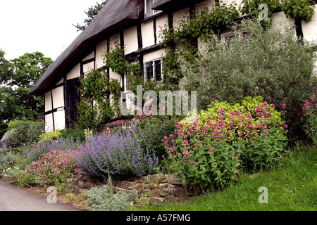Worcestershire Cropthorne Vine Cottage Stockfoto