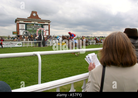 UK Yorkshire Ripon Rennen Rennpferd zogen junge gewinnen Stockfoto