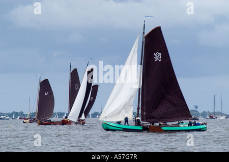 Niederlande Friesland Fryslan Skûtsjesilen Race Wettbewerb 100 Jahre Segeln Lastkahn Stockfoto