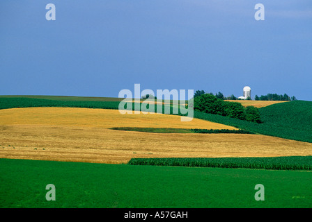 ACKERFLÄCHEN UND SILO IM JULI.  S.E. MINNESOTA IN DER NÄHE VON HASTINGS. Stockfoto