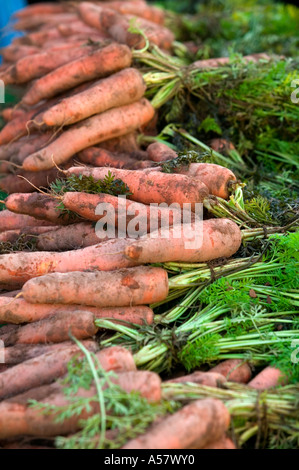 Stratford-upon-Avon Farmers MArket, Warwickshire, England. Carrotts zum Verkauf Stockfoto