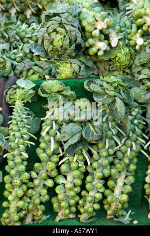 Stratford-upon-Avon Farmers MArket, Warwickshire, England. Sprossen für Verkauf Stockfoto