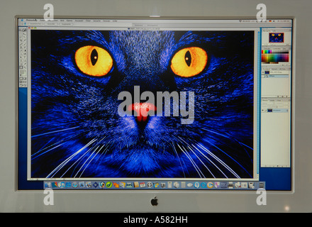 Digitale komponieren mit Adobe Photoshop auf Apple Cinema Display Stockfoto