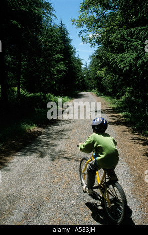 Frankreich Provence Lubéron junge auf seinem Mountainbike die Zedern Wald Stockfoto