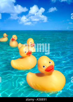 Fünf fröhliche gelbe Quietscheentchen schwimmend auf ruhigem Wasser im Freien unter blauem Himmel mit Wolken Stockfoto