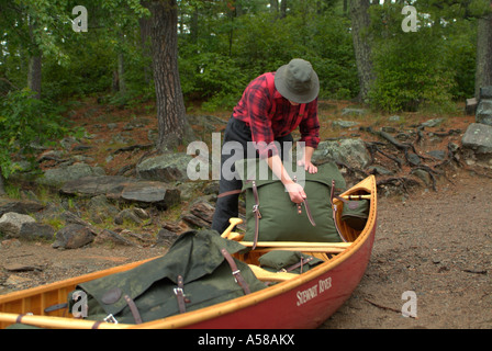 Bei seinem Rudel in Boundary Waters Canoe Bereich Wildnis BWCAW Minnesota laden Stockfoto