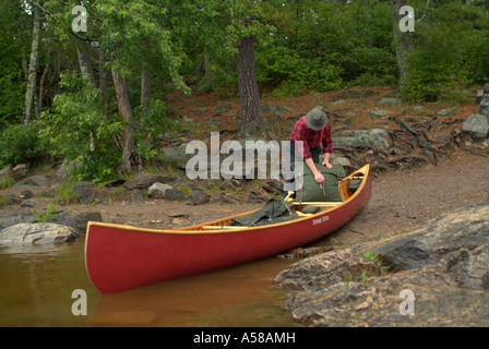 Bei seinem Rudel in Boundary Waters Canoe Bereich Wildnis BWCAW Minnesota laden Stockfoto