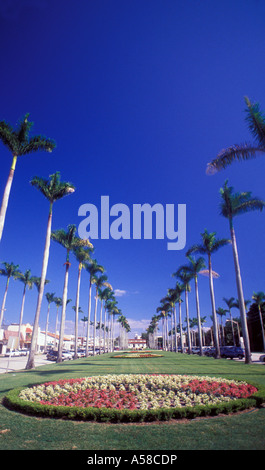 Palm Beach, Florida landschaftlich Royal Poinciana Weg Stockfoto