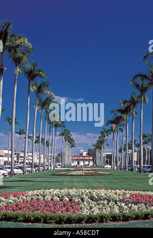 Palm Beach, Florida landschaftlich Royal Poinciana Weg Stockfoto