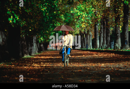 Tuscany, Lucca Stockfoto