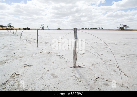 Trockenheit, Salz verkrustet ausgetrocknet Testflugzeug, Versalzung von Ackerland bei Trockenheit, Süd-West Australien, Februar 2007 Stockfoto