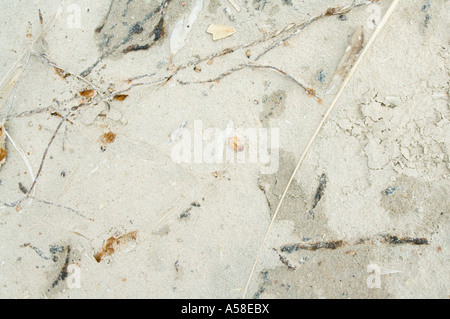 Trockenheit, Salz verkrustet ausgetrocknet Testflugzeug, Versalzung von Ackerland bei Trockenheit, Süd-West Australien, Februar 2007 Stockfoto