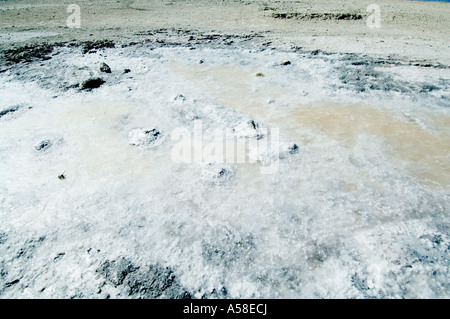 Trockenheit, Salz verkrustet ausgetrocknet Gardner Testflugzeug, Rottnest Island, Western Australia, Februar 2007 Stockfoto