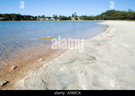 Trockenheit, Salz verkrustet ausgetrocknet Gardner Ufer, Rottnest Island, Western Australia, Februar 2007 Stockfoto