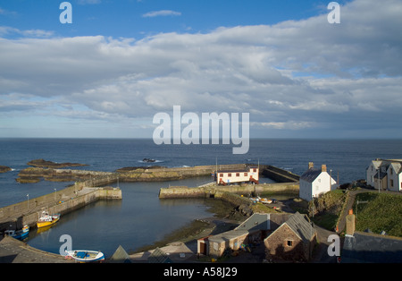 dh Harbour Fischerdorf ST ABBS GRENZT an schottischen Hafen RNLI Rettungsbootstation berwickshire Küste Nordsee uk Küstenstädte Schottland Stockfoto