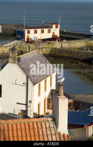 dh ST ABBS GRENZEN Fischerdorf Häuser RNLI Rettungsboot Station Hafen berwickshire schottland Stockfoto