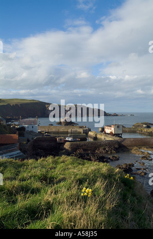 dh ST ABBS GRENZT AN das Fischerdorf RNLI an der schottischen Küste Stockfoto