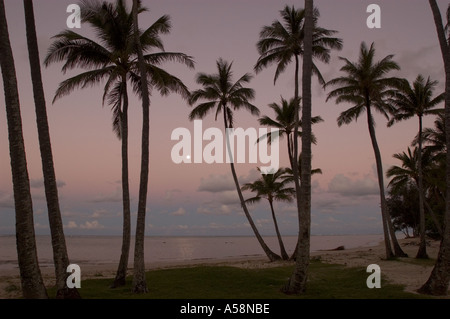 Mondaufgang über Palmen Hawaii Stockfoto