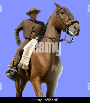 Spanische Reiter, Fahrer, Feria, Pferd Reiter, Mann, Person, Menschen, Fuengirola, Costa del Sol, ethnisch, Kultur, kulturelle, Stockfoto