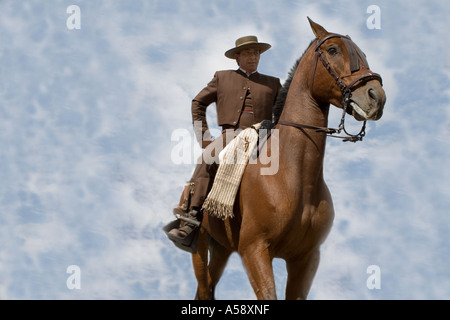 Spanischer Reiter Stockfoto