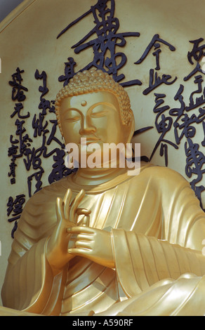 Statue des Buddha in World Peace Pagoda Pokhara Stadt Nepal Stockfoto