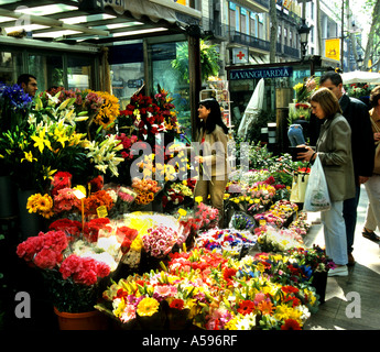 Blume Blumen Barcelona Spanien La Rambla Les Rambles Las Ramblas Stockfoto