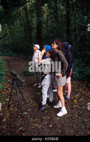 Costa Rica Monteverde Nebelwald touristischen Wildbeobachtung unter Leitung von weiblichen Naturführer Blick durch das Fernglas Stockfoto