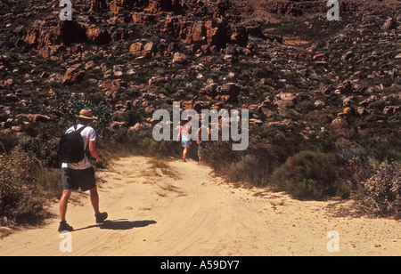 Wandern in den Cederberg, Wilderness, Westkap, Südafrika Stockfoto