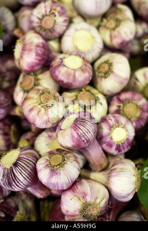 Knoblauch Stockfoto