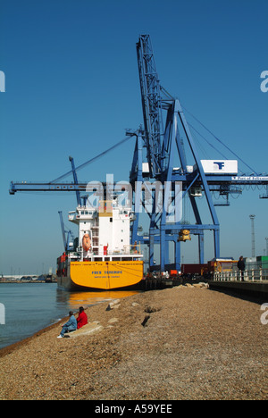 Container Port of Felixstowe River Orwell Mündungskrane bereit Be-und Entladen Container von Frachtschiff East Anglia Suffolk England UK Stockfoto