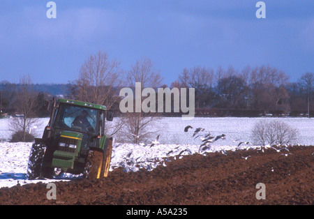 TRAKTOR-WINTER IM SCHNEE BUXTON NORFOLK EAST ANGLIA ENGLAND UK PFLÜGEN Stockfoto