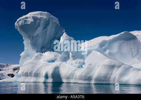 Eisberg, schwebend in der Curverville Bucht in der Antarktis Stockfoto