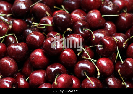 cherries ripe red cherry Stockfoto
