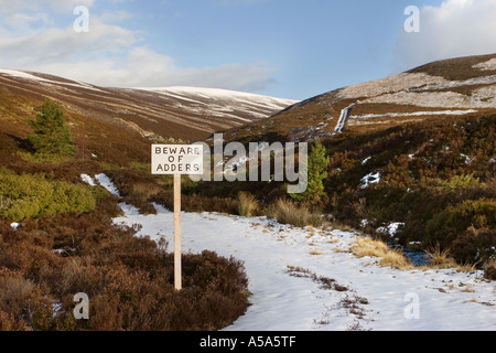 Hüten Sie sich vor Leitern, Schlangen in der Heide. Ein Moorwarnschild für Wanderer, die zu Pfaden und Pfaden im Cairngorms National Park, Schottland, Großbritannien, gehen Stockfoto