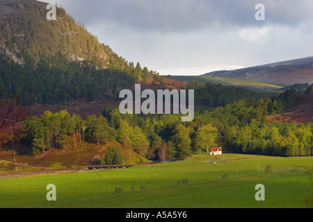 Mar Lodge Estate, Dee vally Landschaft mit Blick auf die Linn of Quoich, Braemar, Aberdeenshire, Cairngorms National Park Schottland großbritannien Stockfoto