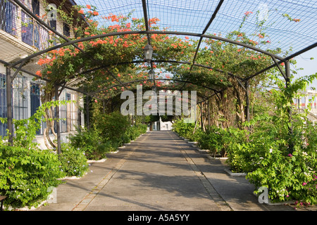 Paseo Esteban Huertas, Casco Viejo, Panama City, Panama, Mittelamerika Stockfoto