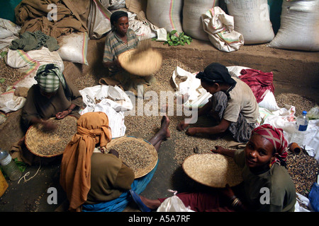 Harar, Äthiopien, Frauen sortieren Kaffeebohnen an einen Röster Stockfoto