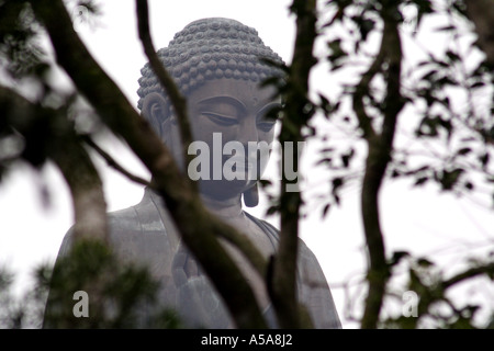 Tian Tan Buddha, Lantau Island, Hongkong Stockfoto