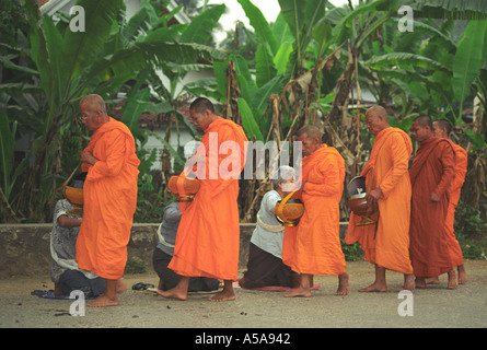 Buddhistische Mönche sammeln Morgen Pflicht (Alms) in Luang Prabang, Laos Stockfoto