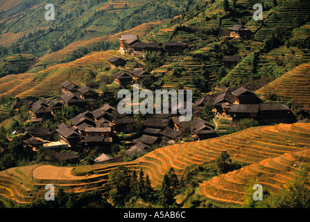 Reisfelder, Longsheng, Provinz Guangxi, China Stockfoto