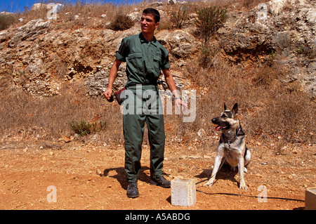 Militärisches Personal Training Hund an landmine Betrieb, Libanon Stockfoto