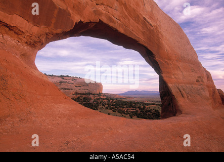 Wilson Arch, Utah, USA Stockfoto