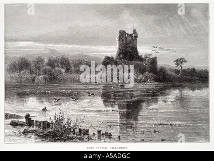 Ross Castle Killarney Lough Leane County Kerry Fort Festung Ruine verfallene Wald Ente Wasser See Berg Eire irischer Irland re Stockfoto