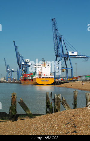 Container Port of Felixstowe River Orwell Mündungsküstenkrane Be- und Entladen von Schiffscontainern vom Frachtschiff East Anglia Suffolk England UK Stockfoto