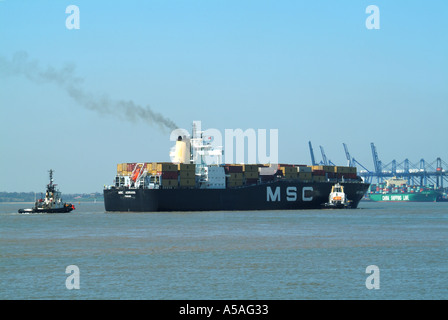 Schlepper, die MSC beladenes Containerschiff unterstützen, das im Hafen von Felixstowe, Suffolk, East Anglia, England, ankommt Stockfoto